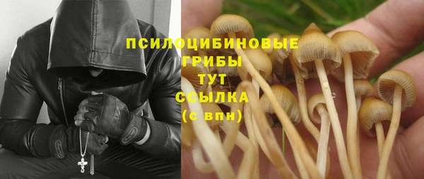 а пвп мука Балабаново