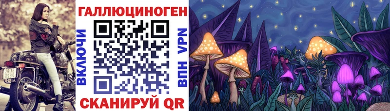 Псилоцибиновые грибы мухоморы  купить   ссылка на мегу зеркало  Ершов 