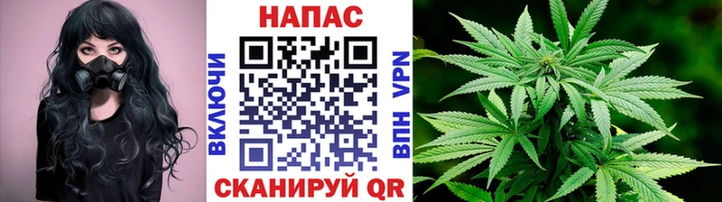 Шишки марихуана план Ершов